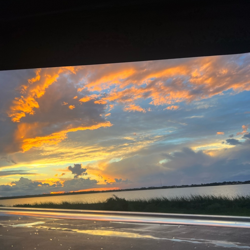 Meet your Posher, Elisa